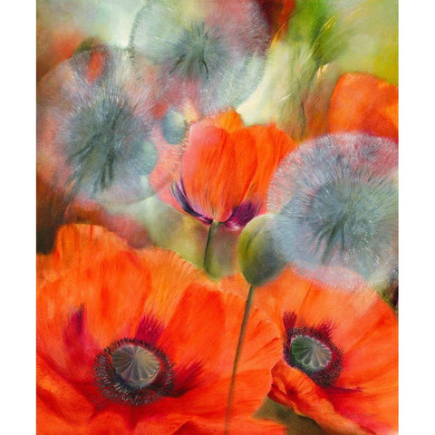 Mohn und Pustelblumen Gold Ornate Wood Framed Art Print with Double Matting by Schmucker, Annette