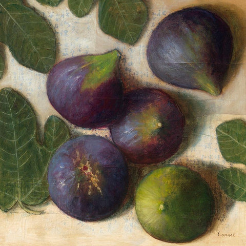 Figues Black Modern Wood Framed Art Print with Double Matting by Lionnet, Pascal