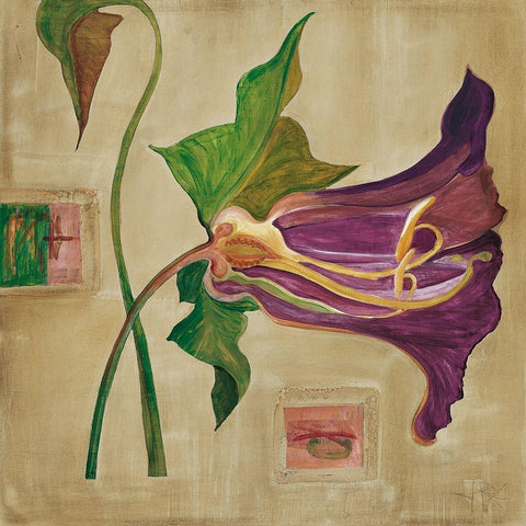 Blutenanatomie: Amaryllis Black Modern Wood Framed Art Print by Richter-Armgart, Rose