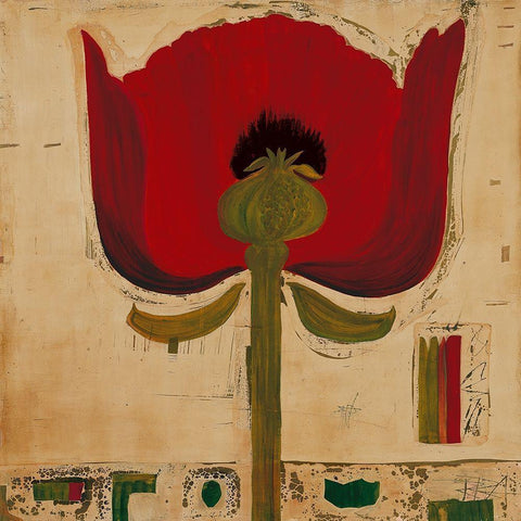 Blutenanatomie: Mohnblumen Black Modern Wood Framed Art Print by Richter-Armgart, Rose