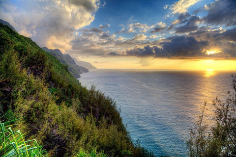 The Hyke Black Ornate Wood Framed Art Print with Double Matting by Terrible, Aurelien