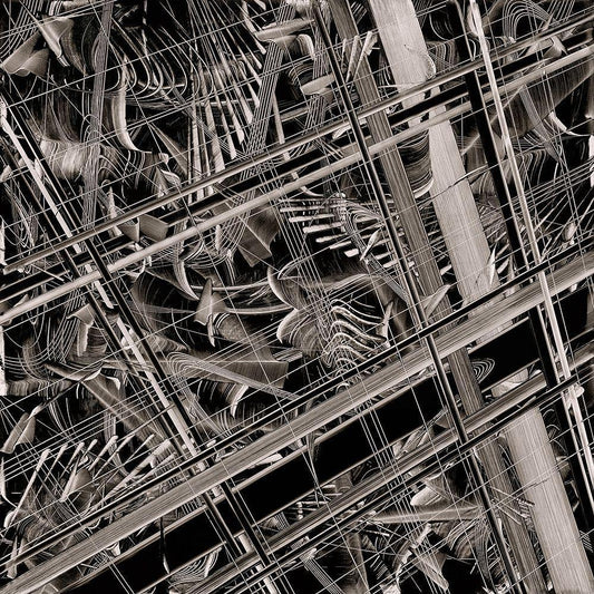 Image Only
