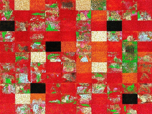 Image Only