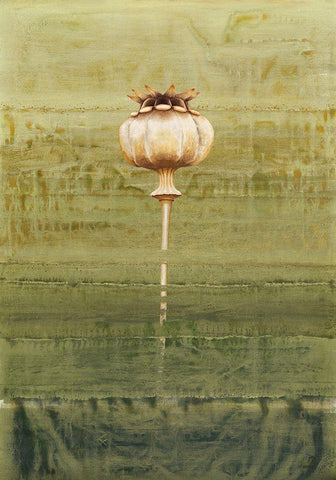 Papaverbol White Modern Wood Framed Art Print with Double Matting by Clema