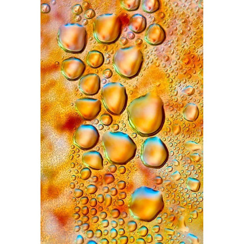 Feuerwasser Black Modern Wood Framed Art Print by NUPHO