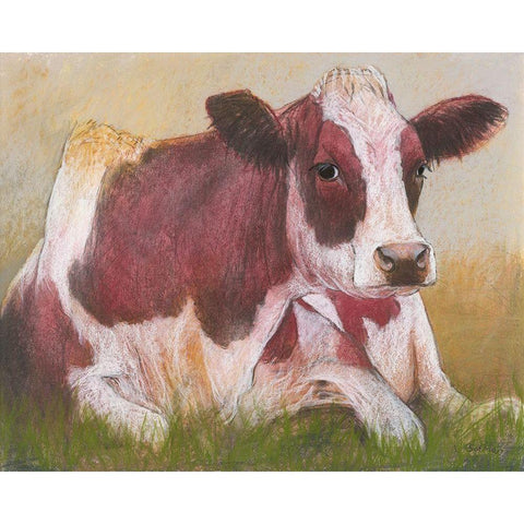 Cow in the Summer Black Modern Wood Framed Art Print with Double Matting by Botman, Loes