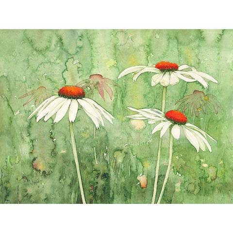 Echinacea two Black Modern Wood Framed Art Print with Double Matting by Clema