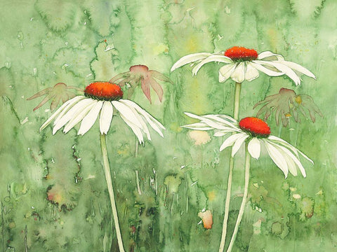 Echinacea two Black Ornate Wood Framed Art Print with Double Matting by Clema