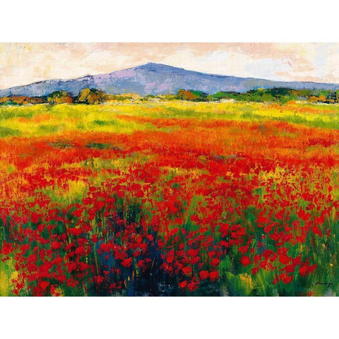 Amapolas III White Modern Wood Framed Art Print by Camargo, Jesus P.