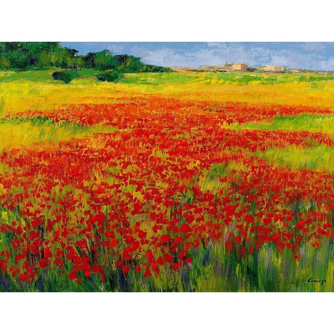 Amapolas IV Black Modern Wood Framed Art Print with Double Matting by Camargo, Jesus P.