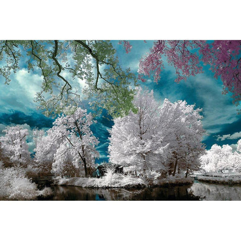 Cayac,Gradignan - Infrared Photography  White Modern Wood Framed Art Print by Gee, Tonee