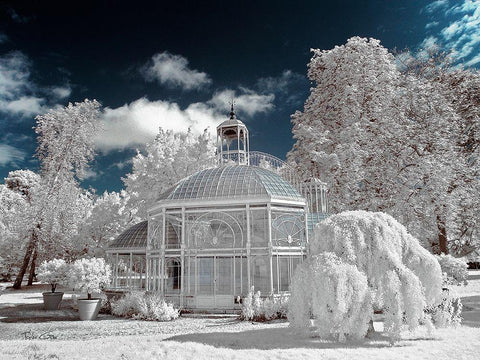 The Glass House by Eiffel-Gradignan - Infrared Photography  Black Ornate Wood Framed Art Print with Double Matting by Gee, Tonee