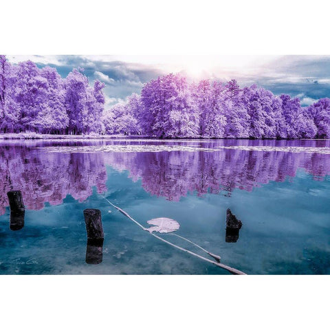 Majolan s Park Reflections I-Bordeaux - Infrared and UV photography  White Modern Wood Framed Art Print by Gee, Tonee