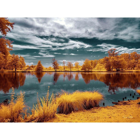 Majolan s Park Reflections II-Bordeaux - Infrared and UV Photography  Black Modern Wood Framed Art Print with Double Matting by Gee, Tonee