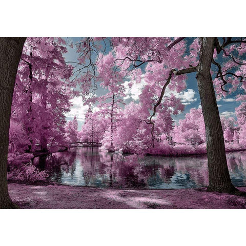 Bordeaux s Park - Infrared Photography  White Modern Wood Framed Art Print by Gee, Tonee