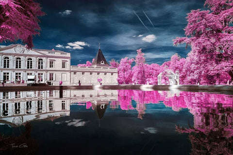 Gradignan s City Hall-France - Infrared Photography  Black Ornate Wood Framed Art Print with Double Matting by Gee, Tonee