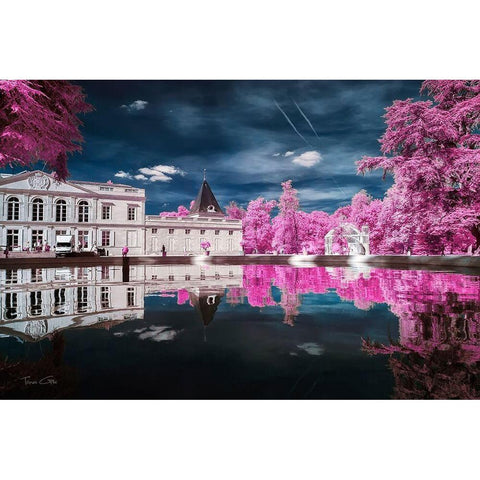 Gradignan s City Hall-France - Infrared Photography  Black Modern Wood Framed Art Print with Double Matting by Gee, Tonee