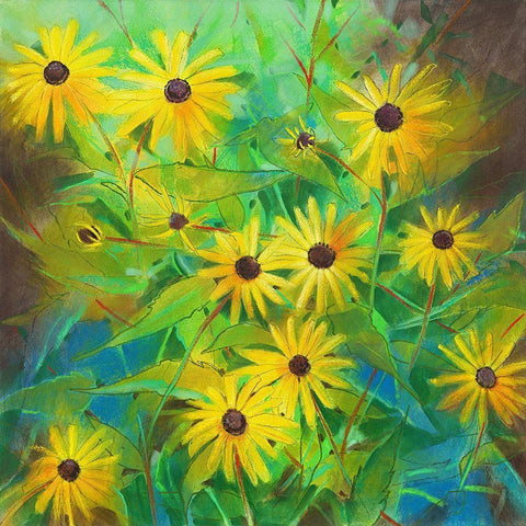 Helianthus Annuus Black Modern Wood Framed Art Print by Botman, Loes