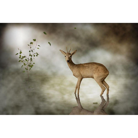 Young Deer White Modern Wood Framed Art Print by Visser, Michiel