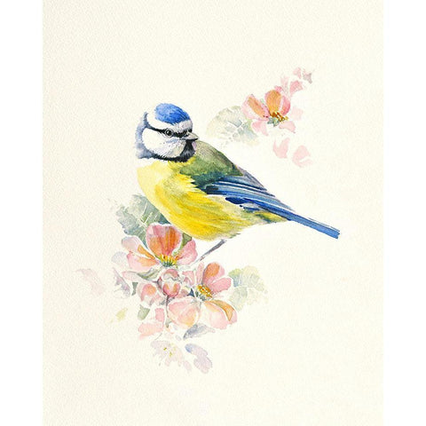 Blue Tit Gold Ornate Wood Framed Art Print with Double Matting by Mayes, Hilary