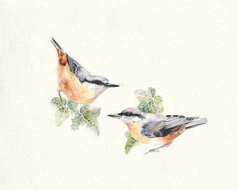 Nuthatches White Modern Wood Framed Art Print with Double Matting by Mayes, Hilary