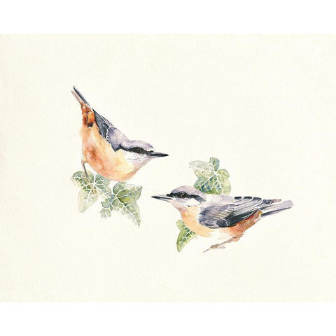 Nuthatches White Modern Wood Framed Art Print by Mayes, Hilary