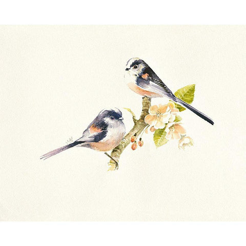 Longtailed Tits White Modern Wood Framed Art Print by Mayes, Hilary