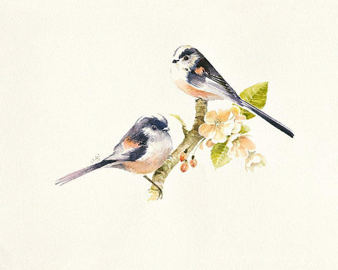 Longtailed Tits White Modern Wood Framed Art Print with Double Matting by Mayes, Hilary