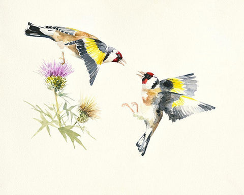 Goldfinches White Modern Wood Framed Art Print with Double Matting by Mayes, Hilary