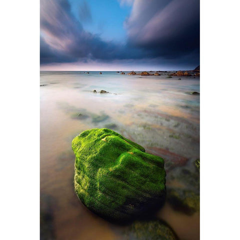 Barrika I White Modern Wood Framed Art Print by Bertrande, Arnaud