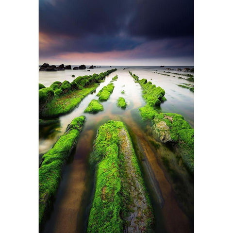 Barrika III Black Modern Wood Framed Art Print with Double Matting by Bertrande, Arnaud