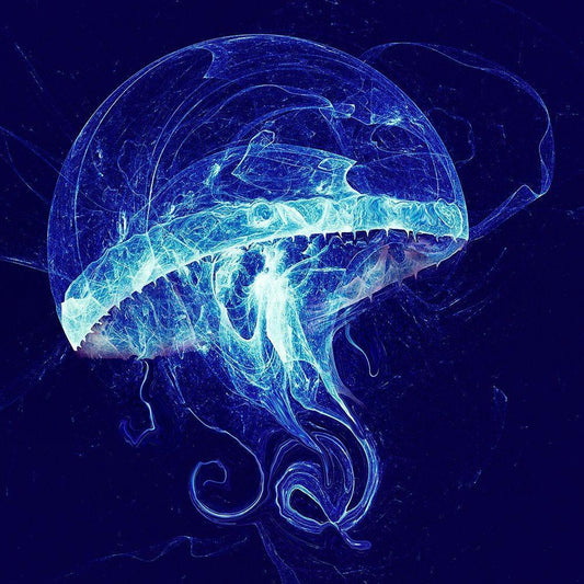 Image Only