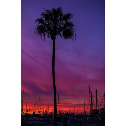 Sunset Sailing White Modern Wood Framed Art Print by Lichtenwalter, Tom