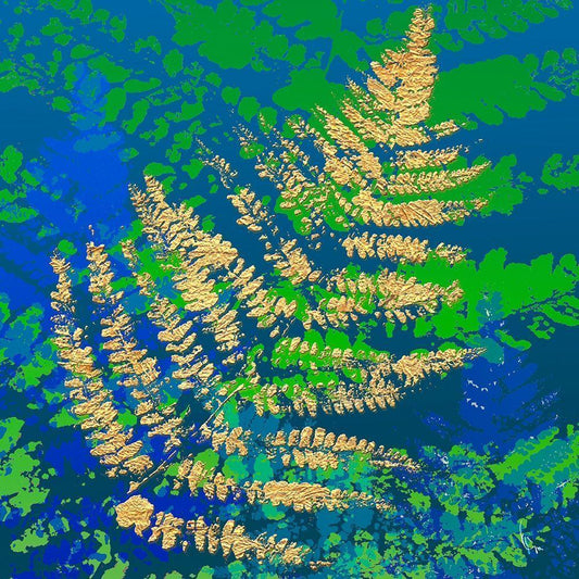 Image Only