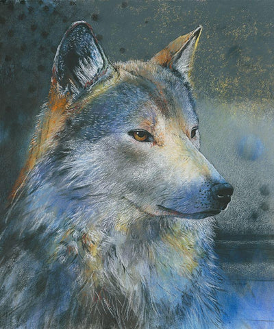 Grauer Wolf White Modern Wood Framed Art Print with Double Matting by Botman, Loes