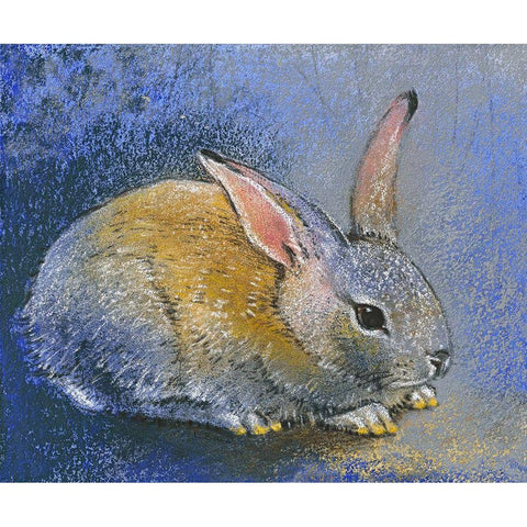 Hase I White Modern Wood Framed Art Print by Botman, Loes