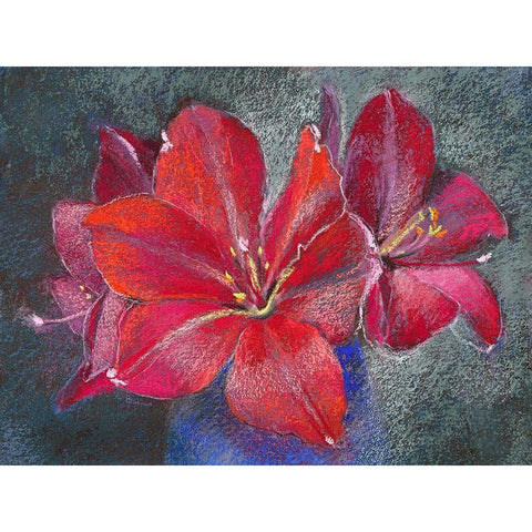 Amaryllis White Modern Wood Framed Art Print by Botman, Loes