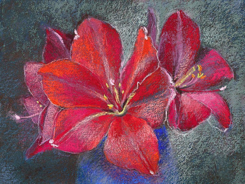 Amaryllis White Modern Wood Framed Art Print with Double Matting by Botman, Loes