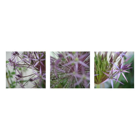 Allium I White Modern Wood Framed Art Print by MIRA