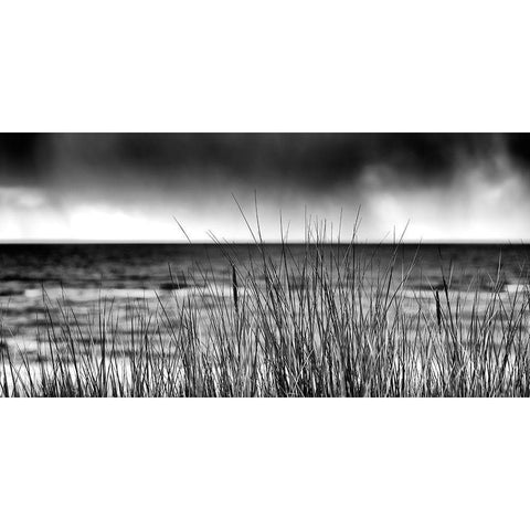 Storm I Black Modern Wood Framed Art Print with Double Matting by Steger, Uwe