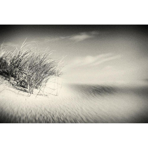 Dunes Black Modern Wood Framed Art Print by Steger, Uwe