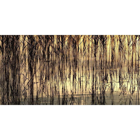 Reed Part I White Modern Wood Framed Art Print by Steger, Uwe