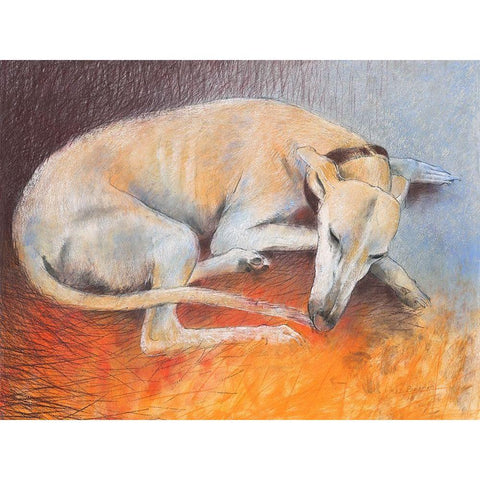 Dog resting White Modern Wood Framed Art Print by Botman, Loes