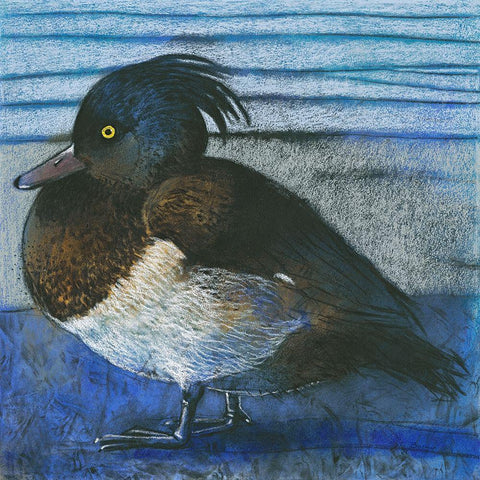 Tufted Duck White Modern Wood Framed Art Print with Double Matting by Botman, Loes