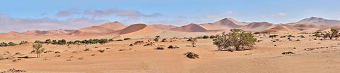 Sossusvlei Desert Namib Black Ornate Wood Framed Art Print with Double Matting by Hillert, Peter