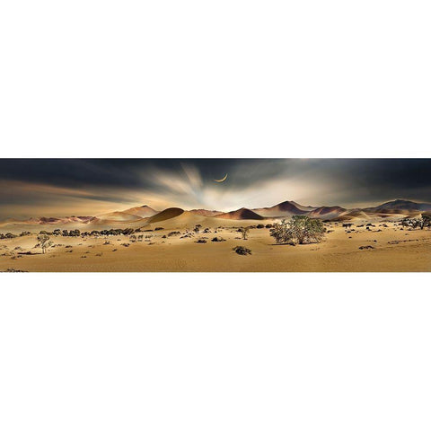 Namib Sandsea II Black Modern Wood Framed Art Print with Double Matting by Hillert, Peter