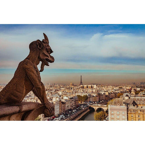 Vue sur Paris depuis Notre Dame Black Modern Wood Framed Art Print with Double Matting by Bertrande, Arnaud