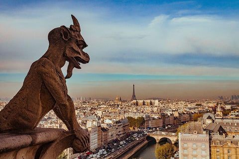 Vue sur Paris depuis Notre Dame White Modern Wood Framed Art Print with Double Matting by Bertrande, Arnaud