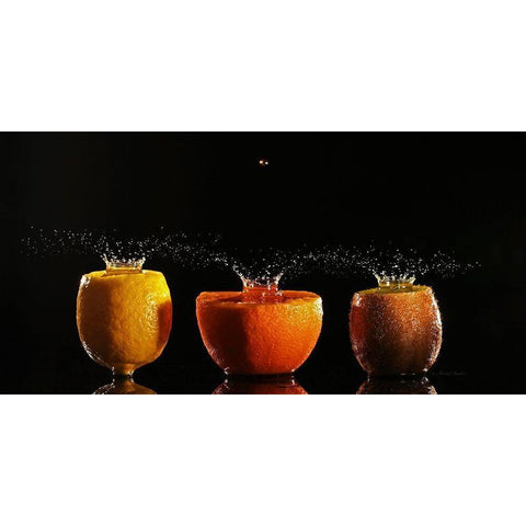 Trilogie Fruits II Black Modern Wood Framed Art Print with Double Matting by Sanchez, Manuel