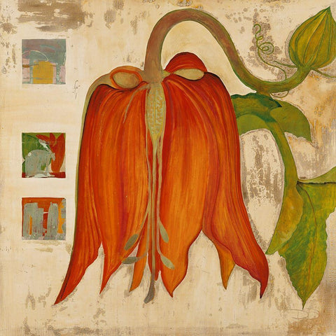 California Flower Black Modern Wood Framed Art Print by Richter-Armgart, Rose